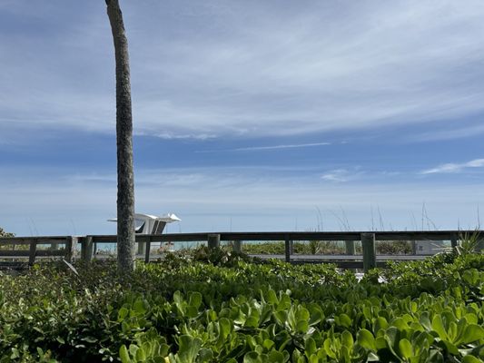 Seaside Grill by null