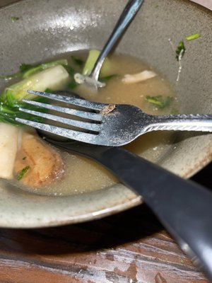 Xian Sushi and Noodle San Marcos by null