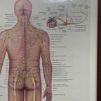 San Marcos Chiropractic - Chiropractors Near Me - San Marcos, California