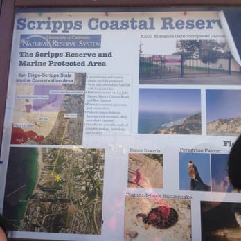 Scripps Coastal Reserve - Parks Near Me - San Diego, California