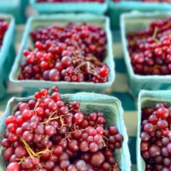 Robert G Shaw Piedmont Triad Farmers Market