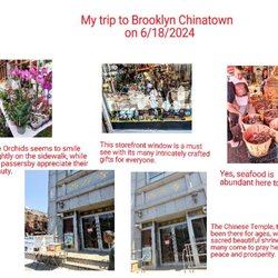Brooklyn Chinatown - More to Brooklyn Chinatown.