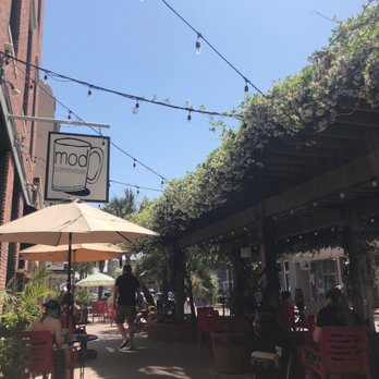 MOD Coffeehouse - Outside of Mods coffee house with jasmine in full bloom! - Coffee & Tea Near Me - Galveston, Texas MOD Coffeehouse - Outside of Mods coffee house with jasmine in full bloom! - Coffee & Tea Near Me - Galveston, Texas