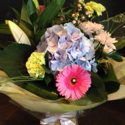 Harlequin Flowers