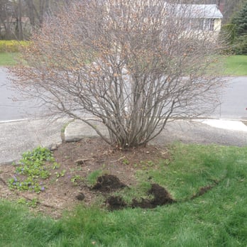 M.E. BASS LANDSCAPING - The difference edging and mulch can make. - Landscaping Near Me - Burlington, Massachusetts M.E. BASS LANDSCAPING - The difference edging and mulch can make. - Landscaping Near Me - Burlington, Massachusetts