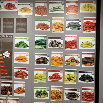 Specialty Produce - Pepper wall + QR codes! - Fruits & Veggies Near Me - San Diego, California Specialty Produce - Pepper wall + QR codes! - Fruits & Veggies Near Me - San Diego, California