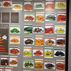 Specialty Produce - Pepper wall + QR codes!