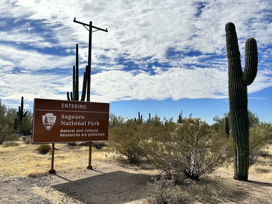 Tucson Mountain District by null