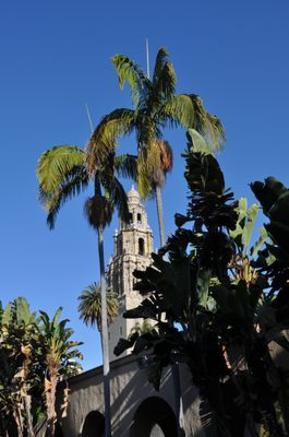 Alcázar Garden by null