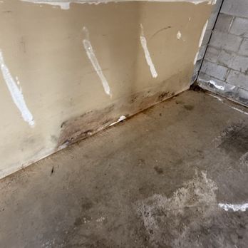 Public Storage - This is mold on the walls that was over my belongings, water, and animal feces in the corner - Self Storage Near Me - Greenville, South Carolina