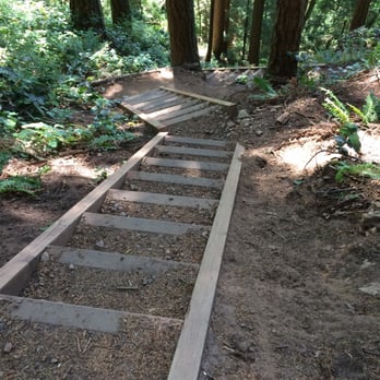 Larrabee State Park - Parks Near Me - Bellingham, Washington Larrabee State Park - Parks Near Me - Bellingham, Washington