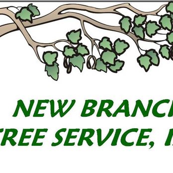 New Branch Tree Service - Firewood Near Me New Branch Tree Service - Firewood Near Me