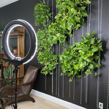 The Green Place - Hanging pothos wall - Nurseries & Gardening Near Me - Fullerton, California The Green Place - Hanging pothos wall - Nurseries & Gardening Near Me - Fullerton, California