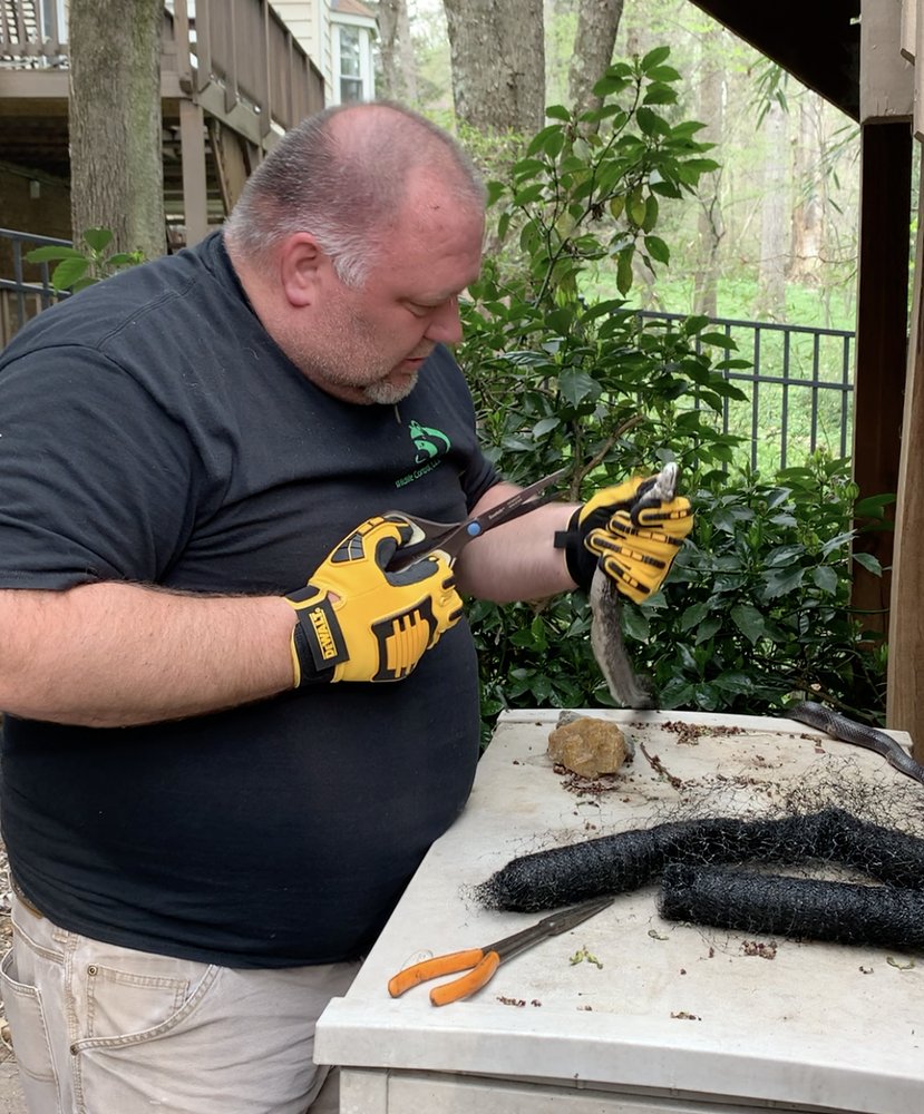 MID ATLANTIC WILDLIFE CONTROL Updated October 2024 10 Photos & 25
