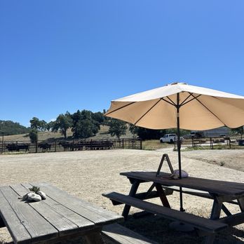 Central Coast Trailrides - Horseback Riding Near Me