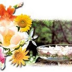 Rincón de Luz - Flores de Bach, preparación personalizada de las esencias, escucha terapéutica y cursos para particulares y profesionales.