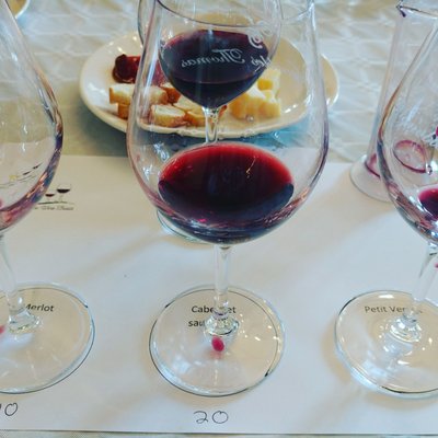 Bordeaux Wine Trails - Wine tours by null