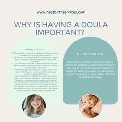 Nest Birth Services - Why is having a doula important?
