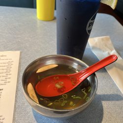 Fuji Yama - Onion Soup