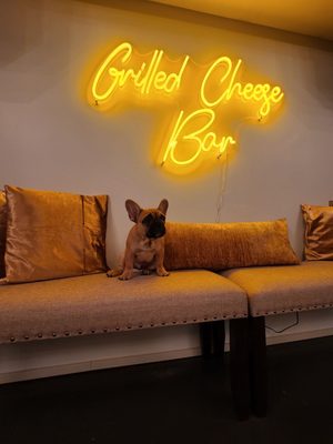 Grilled Cheese Bar by null