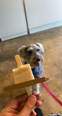 Cielito Artisan Pops by null
