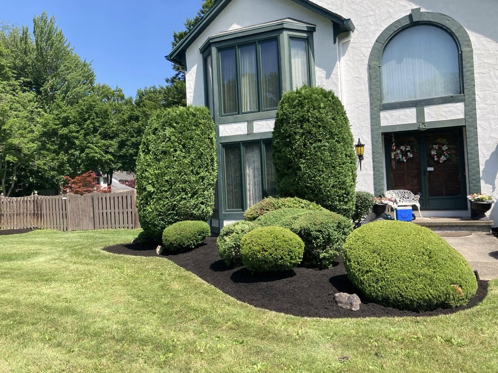 American Designer Landscape Reserve - tree service in Buffalo, NY