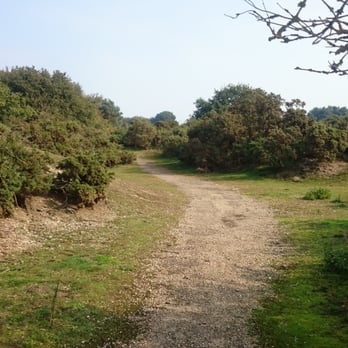 Tobys Walks - Tobys walks Suffolk near Blythburgh - Parks Near Me