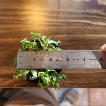 Misfit Tacos - Kale Salad, top, ruler - Tacos Near Me - Cleveland, Tennessee Misfit Tacos - Kale Salad, top, ruler - Tacos Near Me - Cleveland, Tennessee