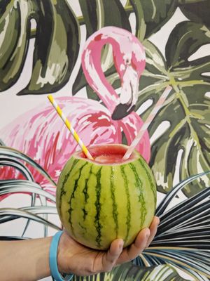 Flamingo Bloom, TST by null