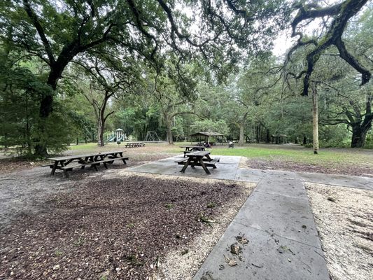 Fanning Springs State Park by null