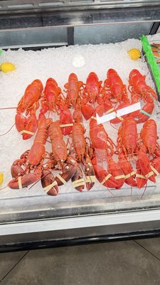 Lombardi's Seafood by null