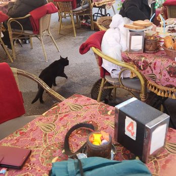 Elif Cafe - Turkish Near Me - Istanbul, 34 Elif Cafe - Turkish Near Me - Istanbul, 34