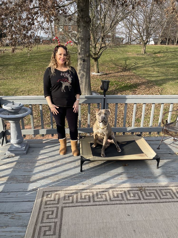 KNUCKLEHEAD K9 SERVICES Updated September 2024 36 Photos 1080