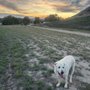 Black Hawk Creek RV Park & Cabins