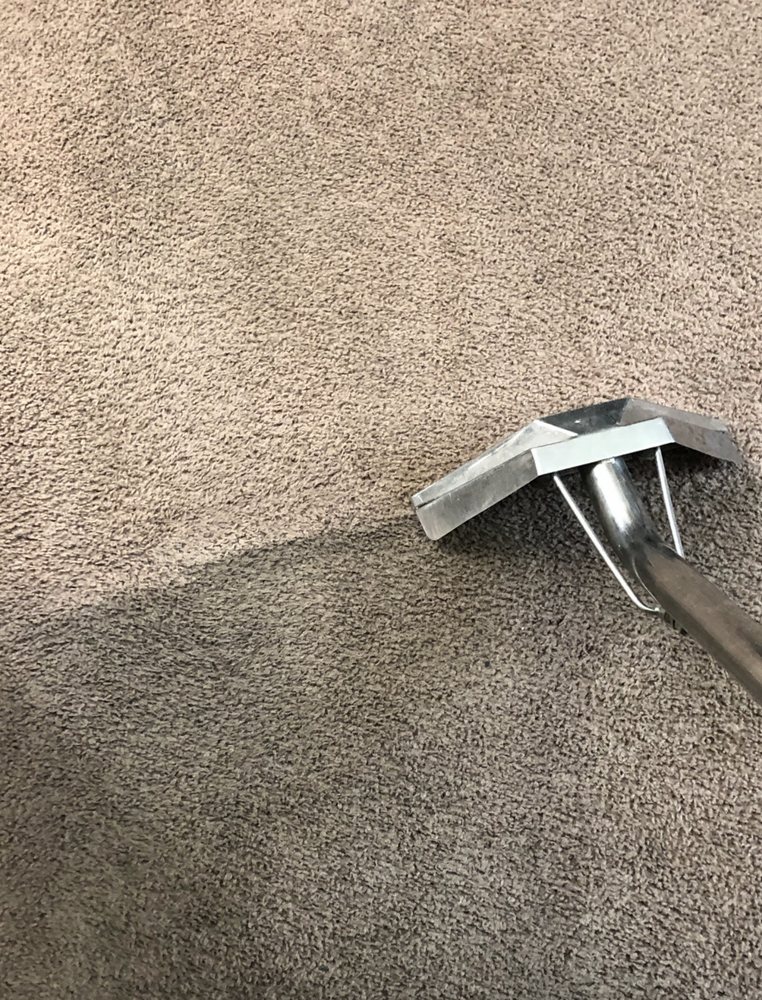 DAVIDS CARPET AND UPHOLSTERY CLEANING Updated August 2024 61 Photos