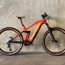 San Diego Fly Rides - E-bike