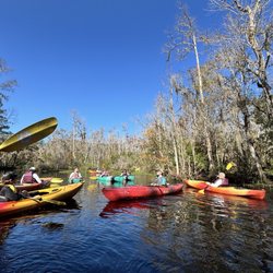 Amelia Island Adventures