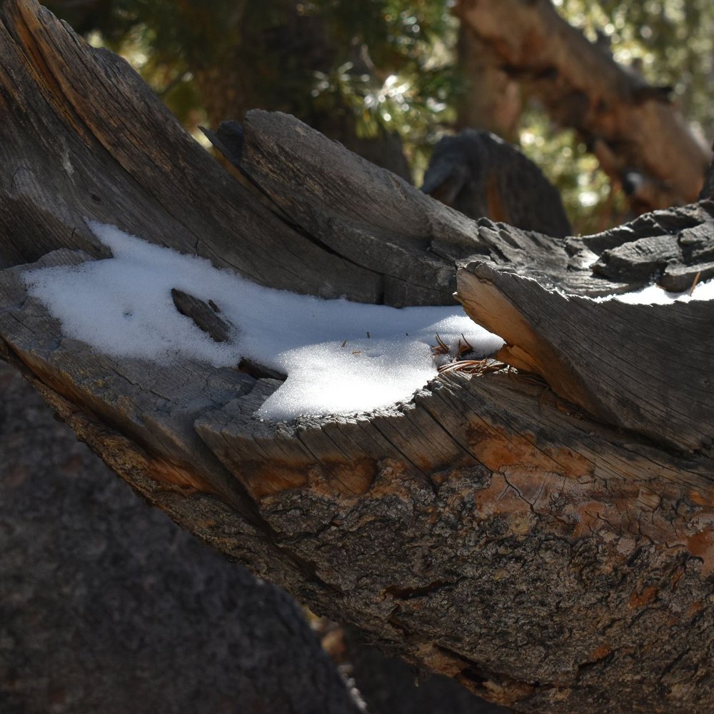 Mosquito Flat Trailhead - Snow - Hiking Near Me Mosquito Flat Trailhead - Snow - Hiking Near Me