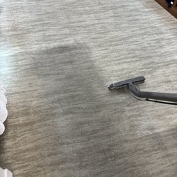 T-Bird Carpet Care