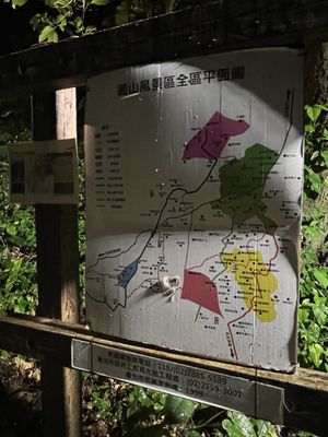 The Grand Hotel by null