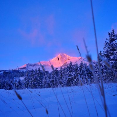 Hungry Moose Market and Deli on the Mountain by null