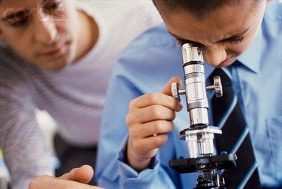 EnviroServices Mildew & Mold Testing - mold inspector in Arleta, CA