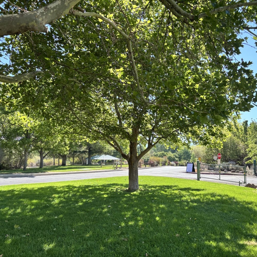 Bartley Ranch Regional Park - Front lawn - Parks Near Me - Reno, Nevada Bartley Ranch Regional Park - Front lawn - Parks Near Me - Reno, Nevada