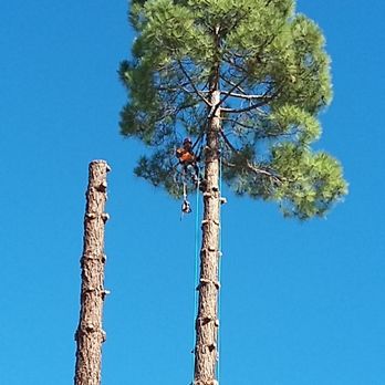 ECS Tree Service - Tree Services Near Me ECS Tree Service - Tree Services Near Me