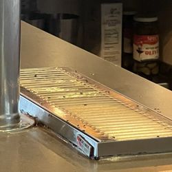 Cotton Patch Cafe - Bugs in plain site of customers.