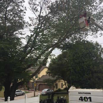 Southern 401 Tree Service - Here's the start of the job. Look at how much of the tree is over hanging our property. - Tree Services Near Me Southern 401 Tree Service - Here's the start of the job. Look at how much of the tree is over hanging our property. - Tree Services Near Me