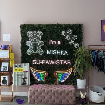 Mishka - Pet Stores Near Me - San Francisco, California