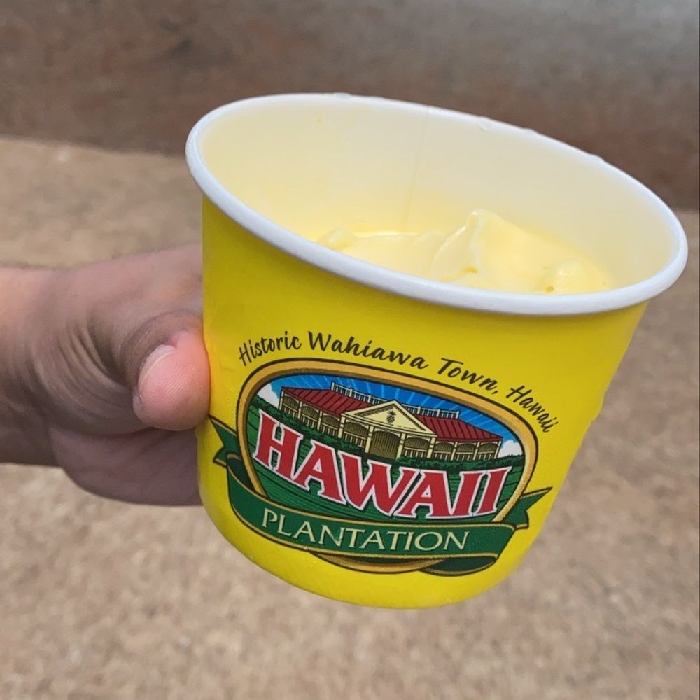 Aloha Hawaii Tours - Dole whip from the Dole Plantation as part of the Sights and Bites tour - Bus Tours Near Me - Honolulu, Hawaii Aloha Hawaii Tours - Dole whip from the Dole Plantation as part of the Sights and Bites tour - Bus Tours Near Me - Honolulu, Hawaii