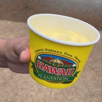Aloha Hawaii Tours - Dole whip from the Dole Plantation as part of the Sights and Bites tour - Bus Tours Near Me - Honolulu, Hawaii Aloha Hawaii Tours - Dole whip from the Dole Plantation as part of the Sights and Bites tour - Bus Tours Near Me - Honolulu, Hawaii