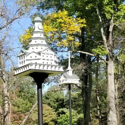 Bird Houses